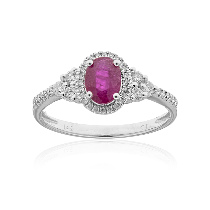 AAA-Mosambik-Rubin-Goldring (CIRARI)